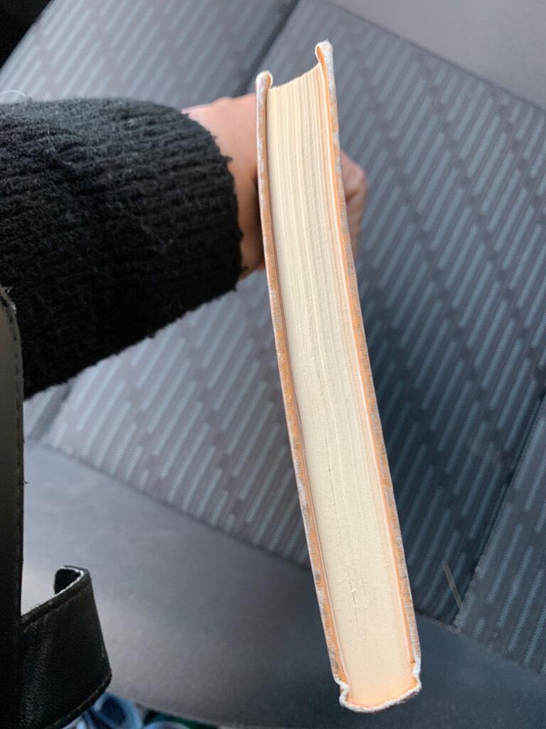 Hästen och hans pojke