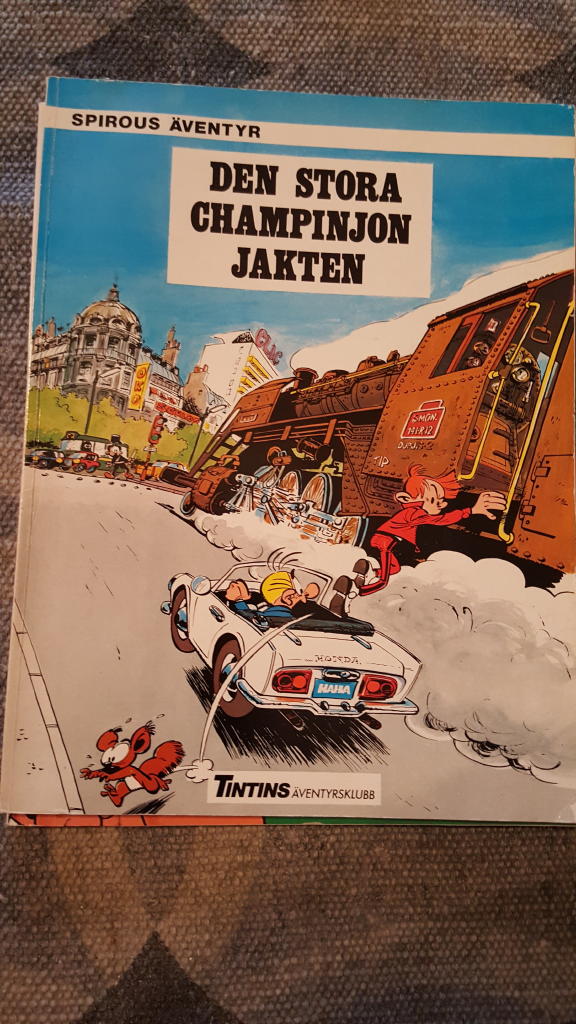 Den stora champinjonjakten
