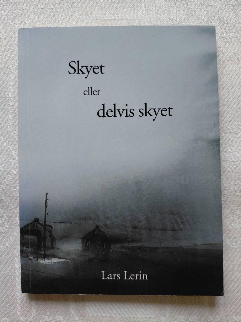 Skyet eller delvis skyet : bilder tilovers 1990-1996