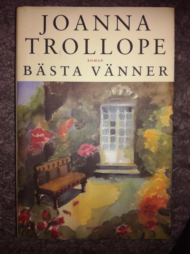 B&auml;sta v&auml;nner : [roman]