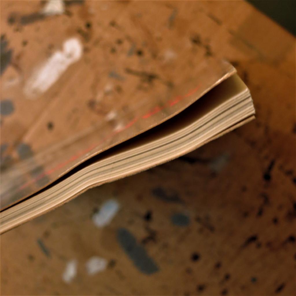 Madonna : nudes 1979