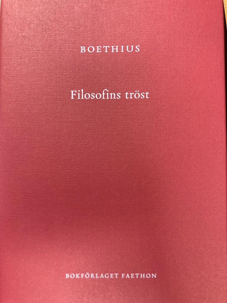 Filosofins tröst