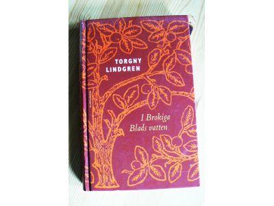 I Brokiga Blads vatten : Figurer