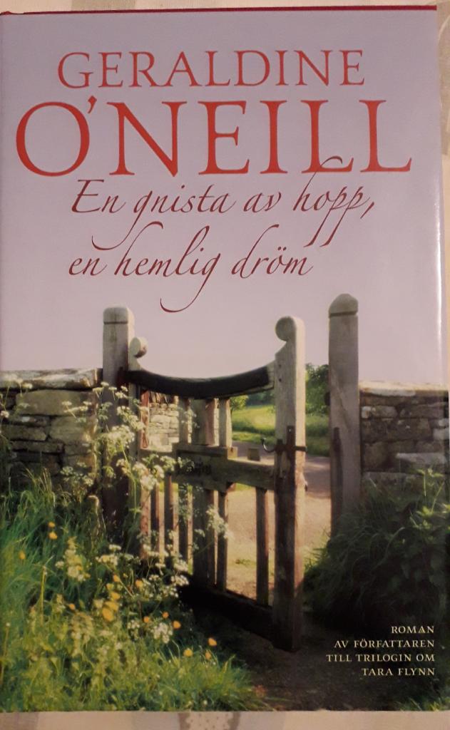 En gnista av hopp, en hemlig dr&ouml;m : roman