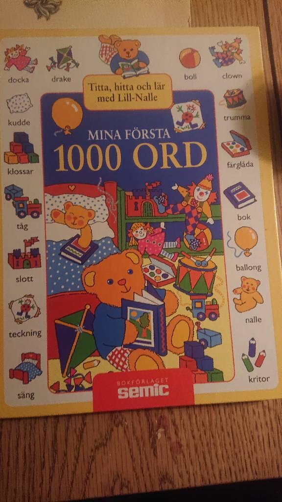 Mina f&ouml;rsta 1000 ord
