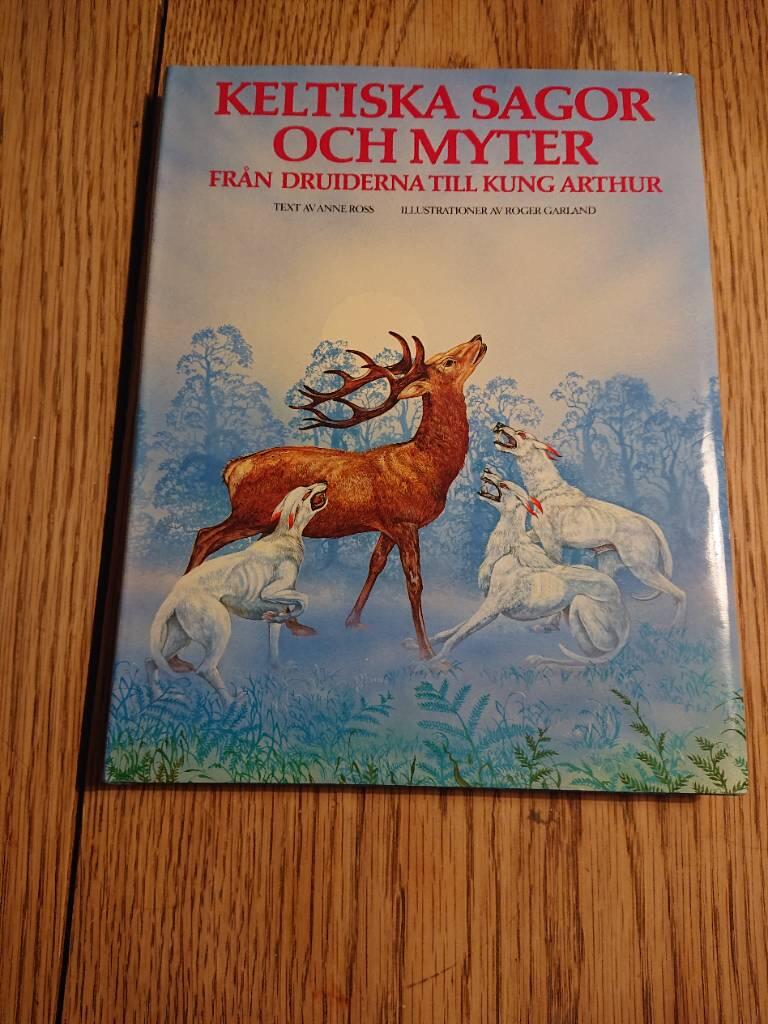 Keltiska sagor och myter fr&aring;n druiderna till kung Arthur