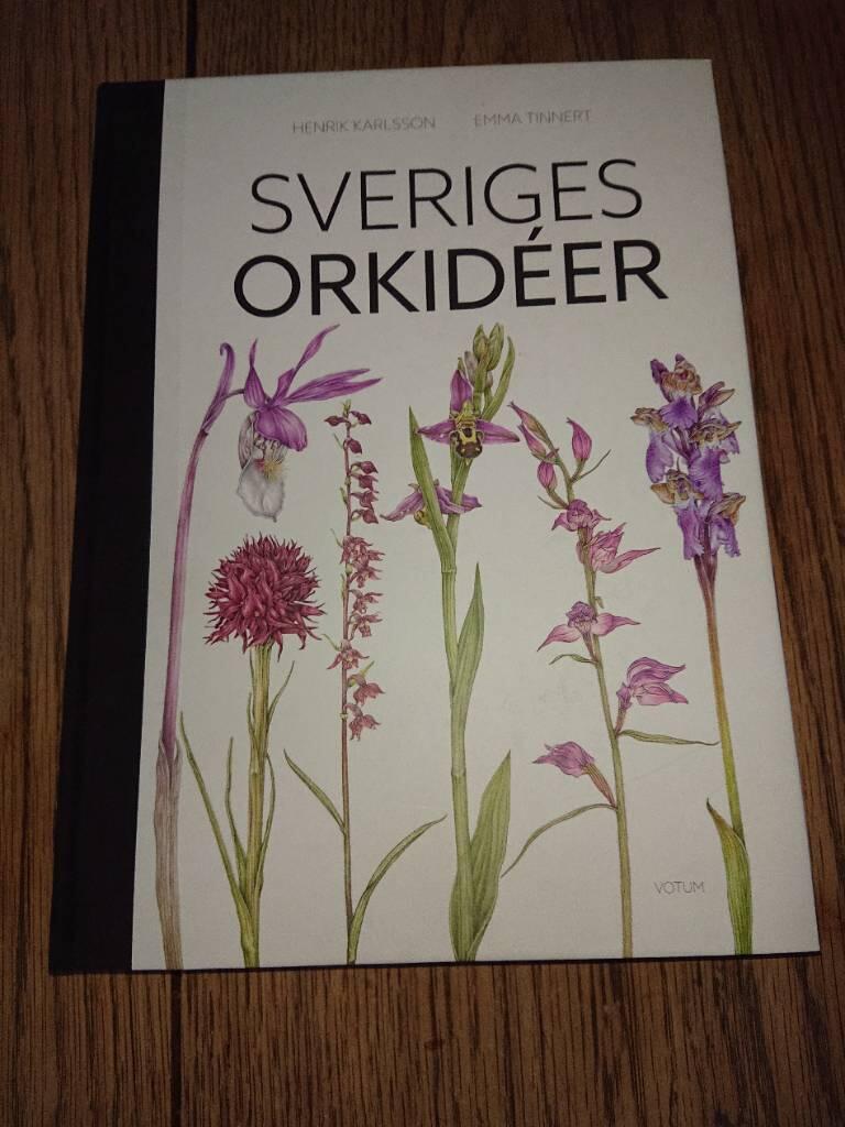 Sveriges orkidéer