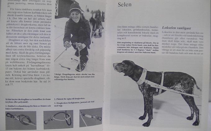 Draghundar : ABC f&ouml;r drag och kl&ouml;vjning