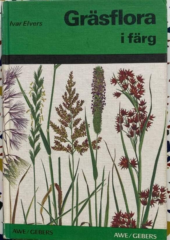Gr&auml;sflora i f&auml;rg