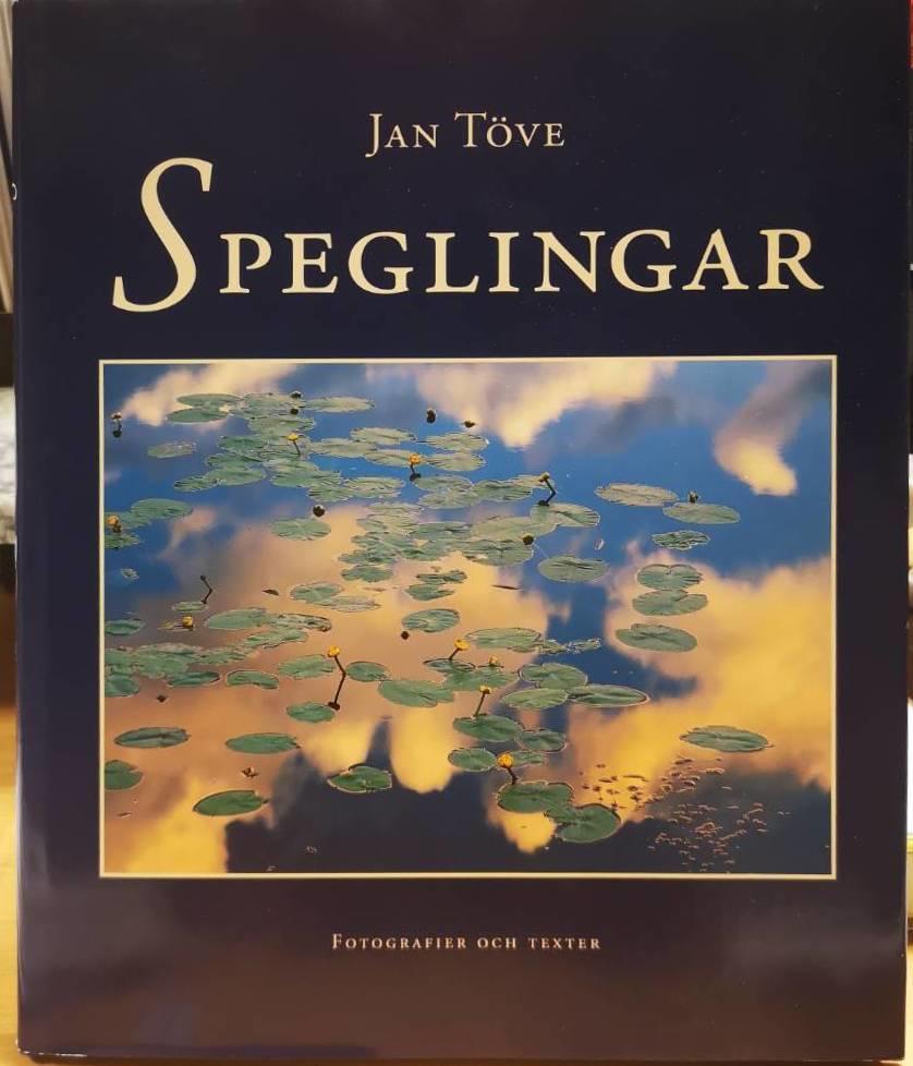 Speglingar