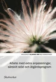 Arbete med extra anpassningar, s&auml;rskilt st&ouml;d och &aring;tg&auml;rdsprogram