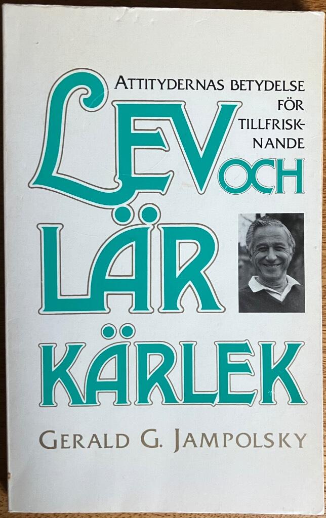 Lev och lär kärlek : de sju principerna för den helande inställningen