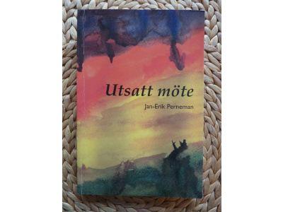 Utsatt m&ouml;te : flyktingen, frivilligorganisationen och framtiden