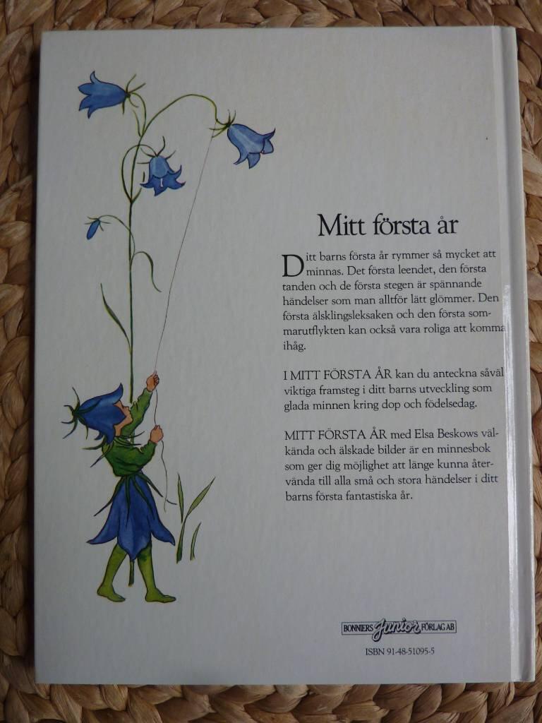 Mitt första år