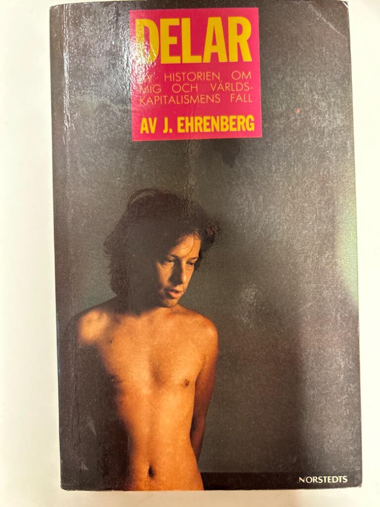 Delar av historien om mig och världskapitalismens fall
