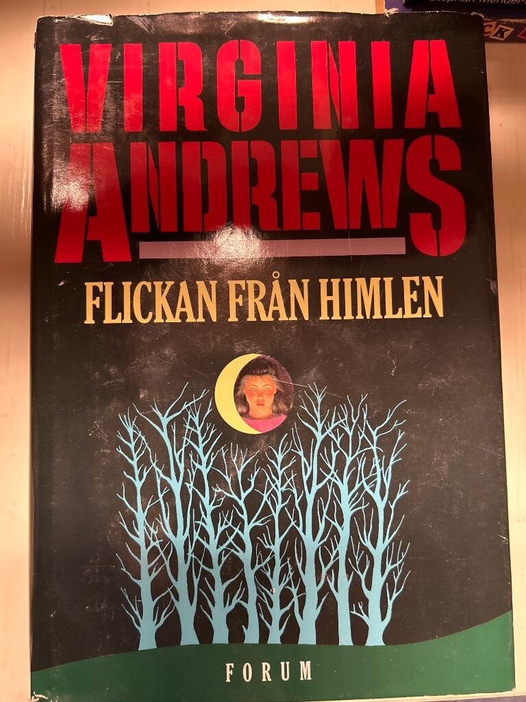 Flickan fr&aring;n himlen