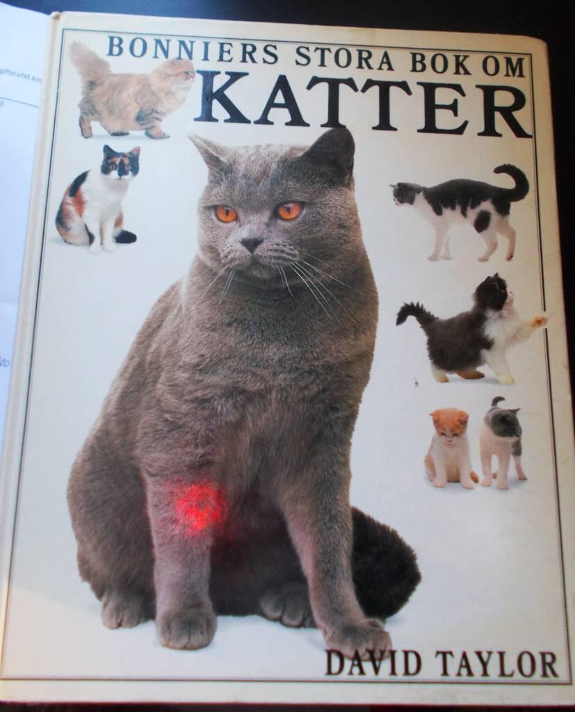 Bonniers stora bok om katter