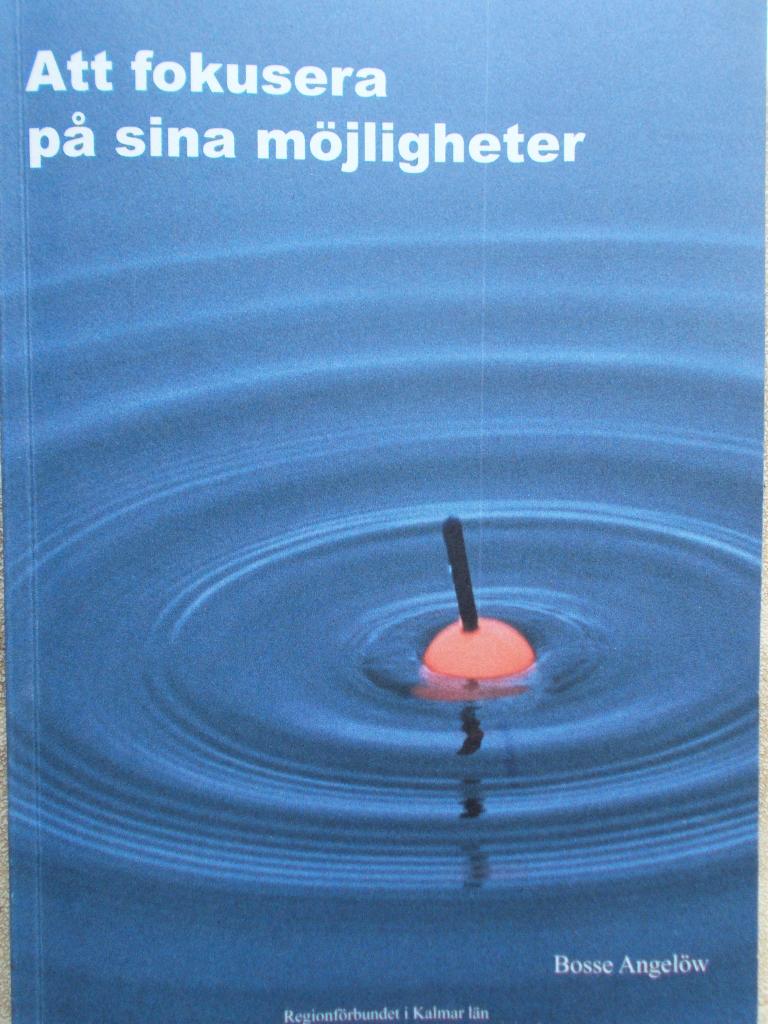 Att fokusera på sina möjligheter : att stärka ett synsätt som bygger på att se möjligheterna hos varje individ, grupp och organisation