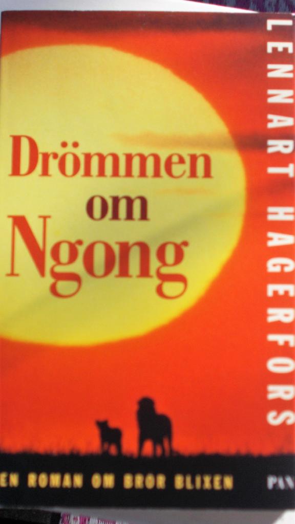 Dr&ouml;mmen om Ngong : en roman om Bror Blixen