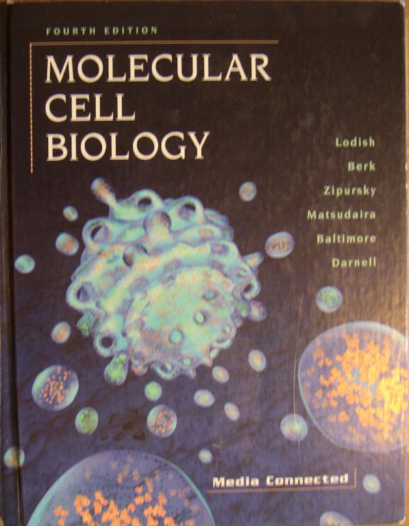 Molecular cell biology [Elektronisk resurs]