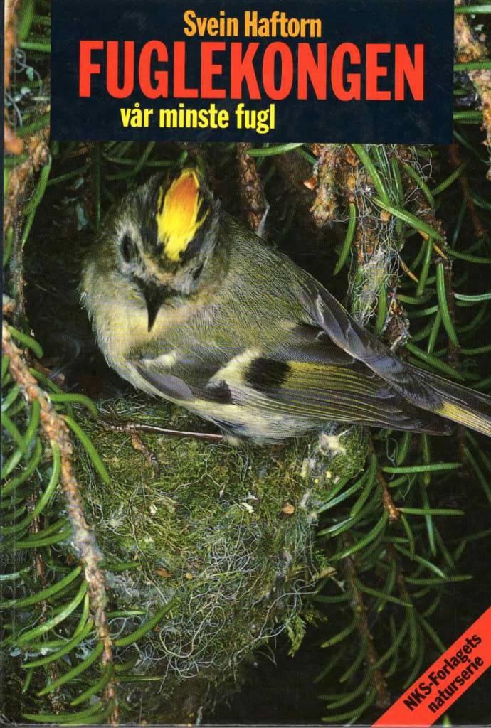 Fuglekongen - vår minste fugl