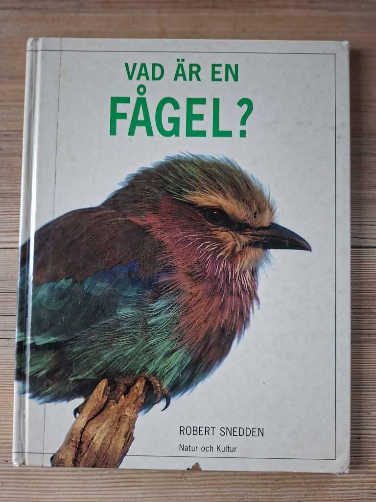 Biologi/Vad &auml;r en f&aring;gel?