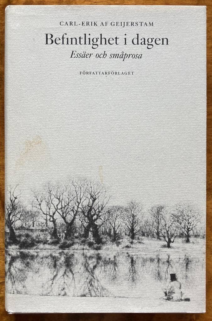 Befintlighet i dagen : ess&auml;er och sm&aring;prosa