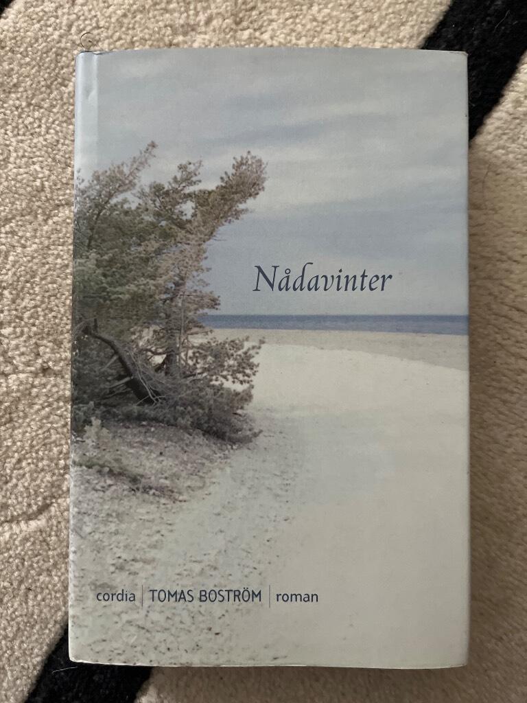 Nådavinter : roman