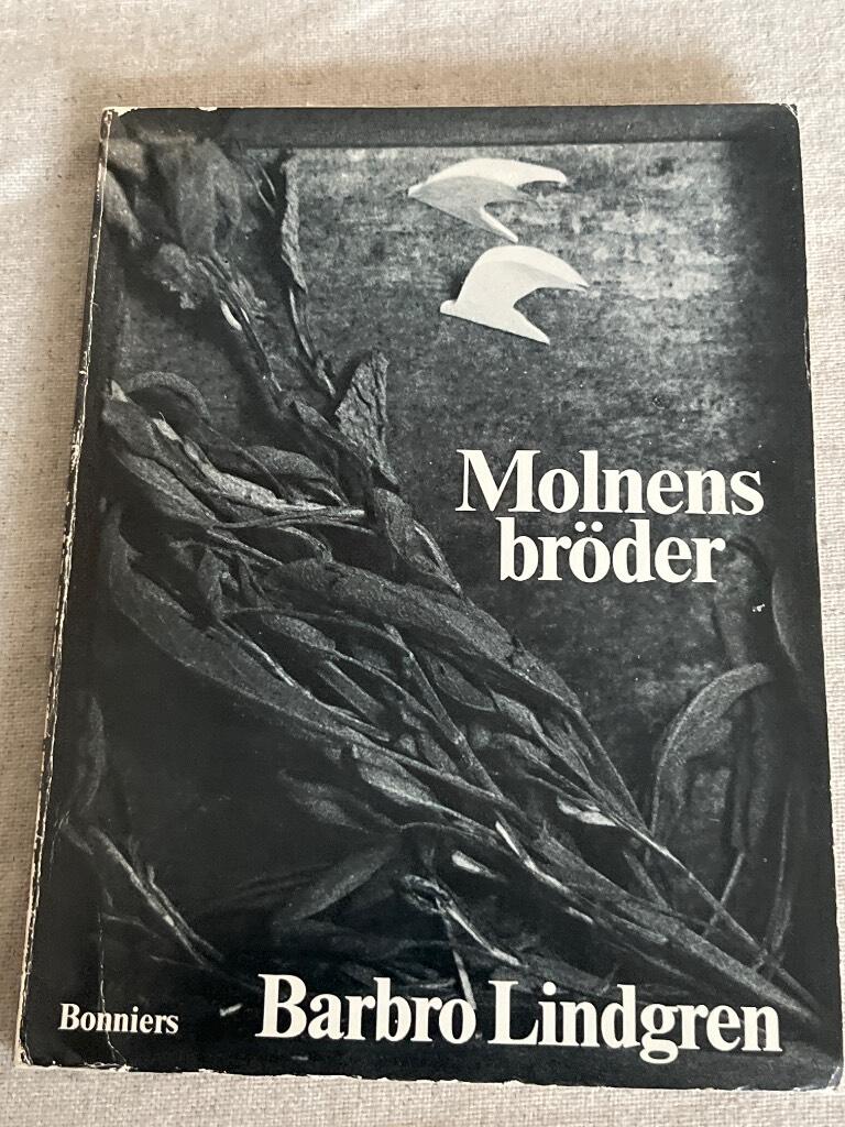 Molnens bröder