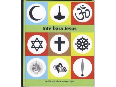 Inte bara Jesus : det m&aring;ngreligi&ouml;sa J&ouml;nk&ouml;ping