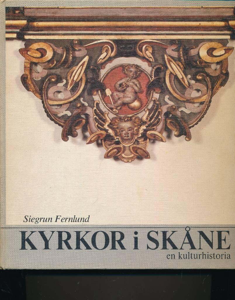 Kyrkor i Skåne : en kulturhistoria