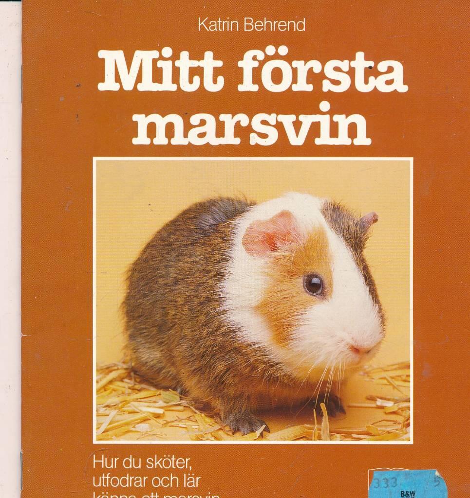 Mitt f&ouml;rsta marsvin : hur du sk&ouml;ter, utfodrar och l&auml;r k&auml;nna ett marsvin
