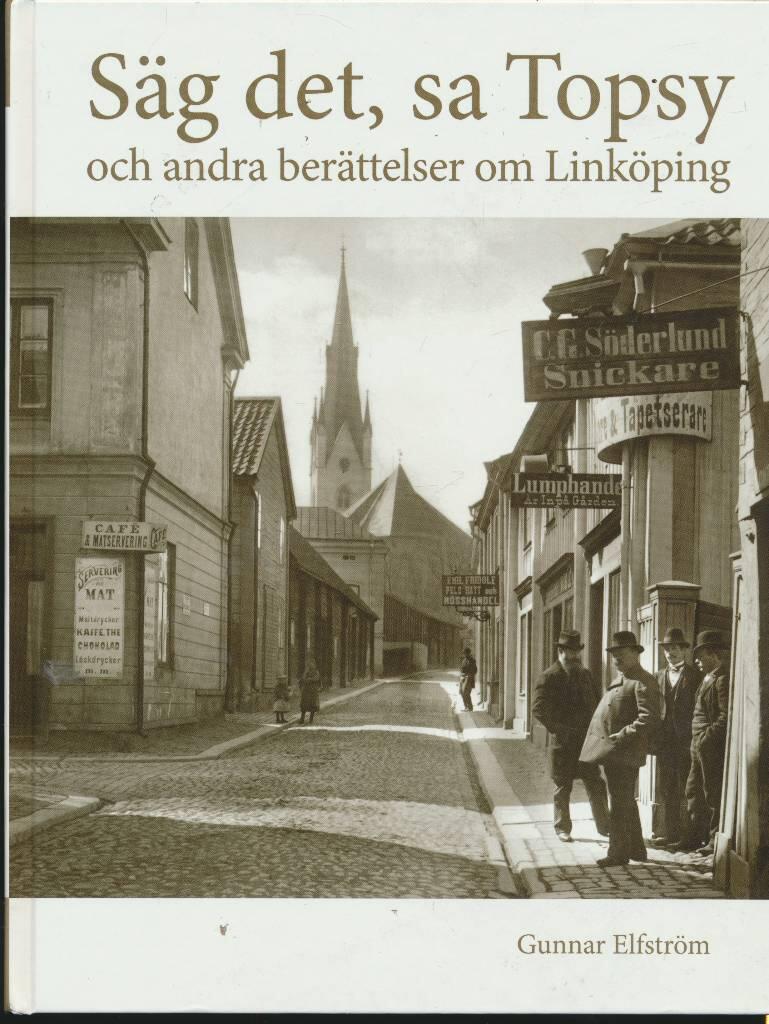 S&auml;g det, sa Topsy - och andra ber&auml;ttelser om Link&ouml;ping