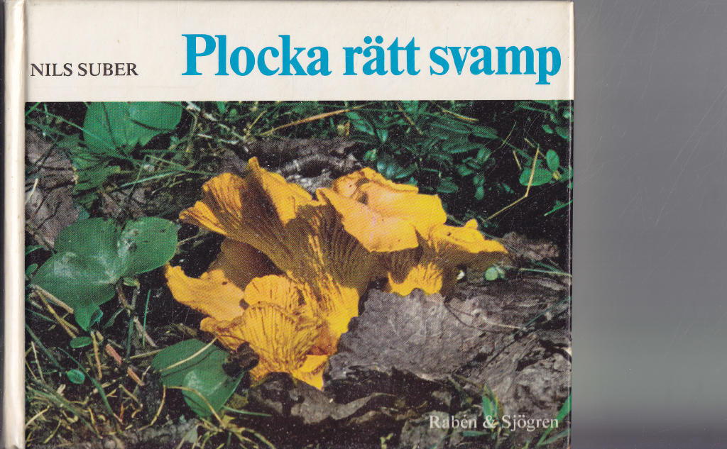 Plocka r&auml;tt svamp