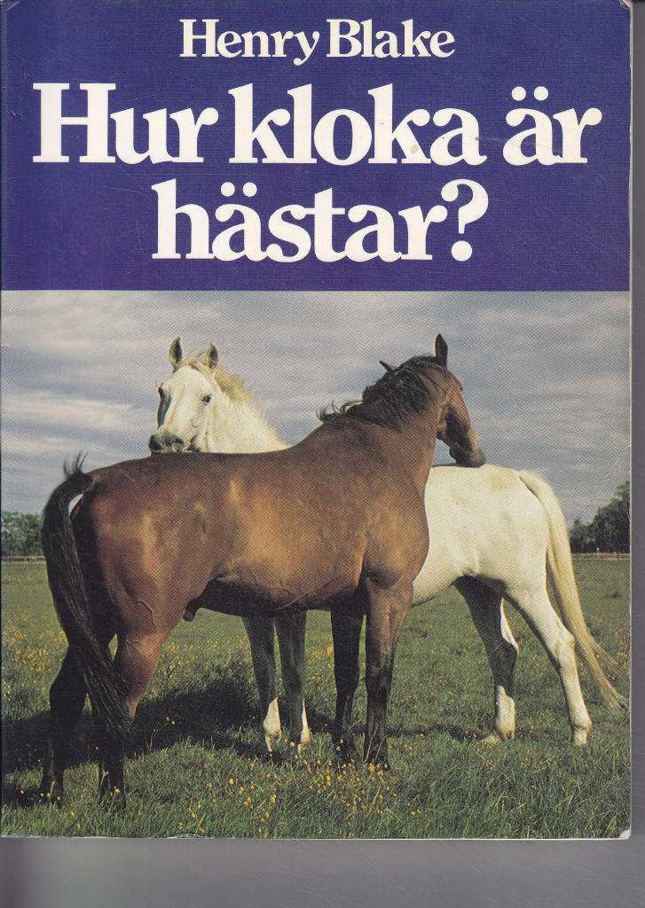 Hur kloka &auml;r h&auml;star?