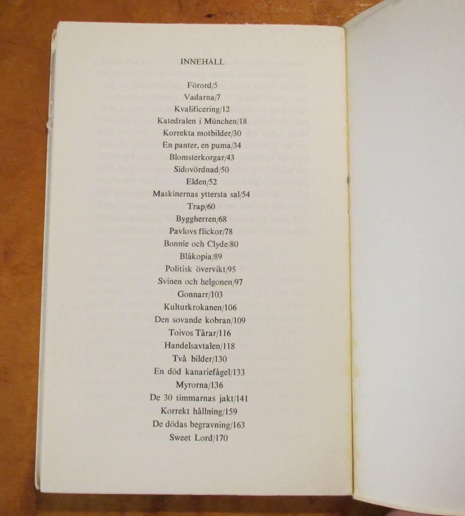 Katedralen i M&uuml;nchen och andra ber&auml;ttelser