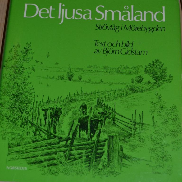 Det ljusa Sm&aring;land : str&ouml;vt&aring;g i M&ouml;rebygden