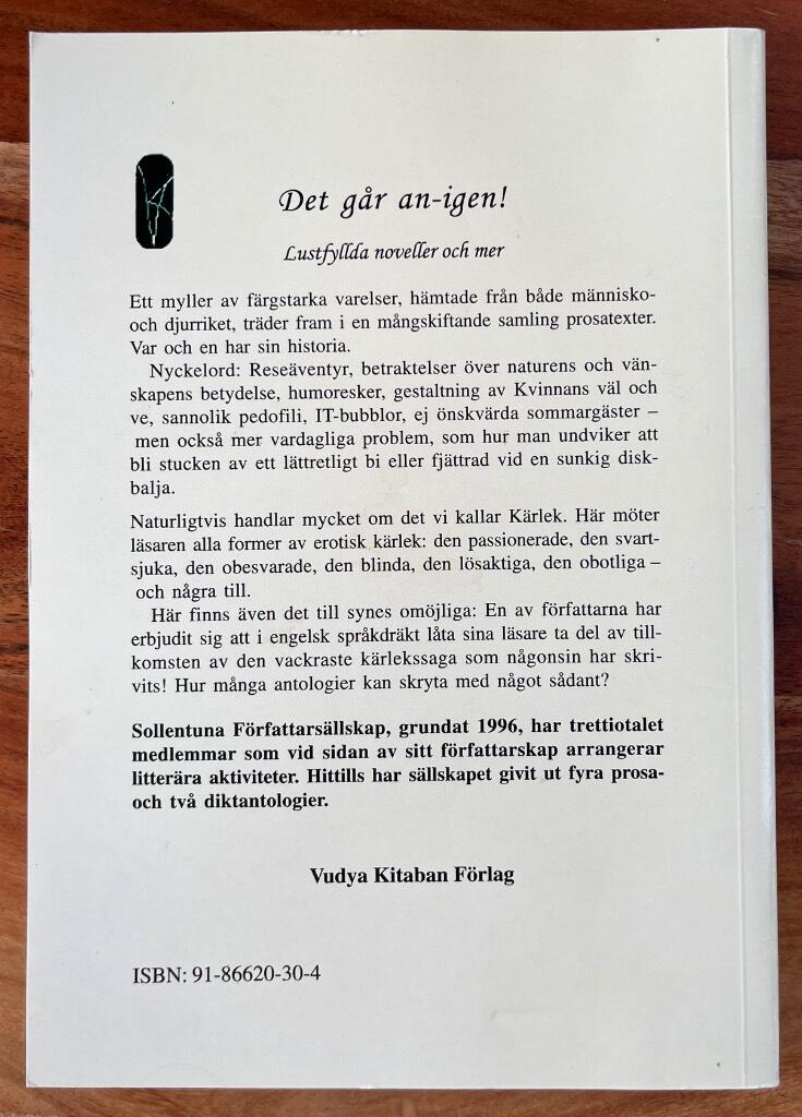 Det går an - igen! : lustfyllda noveller och mer
