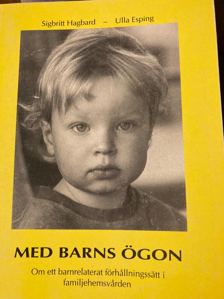 Med barns &ouml;gon : om ett barnrelaterat f&ouml;rh&aring;llningss&auml;tt i familjehemsv&aring;rden
