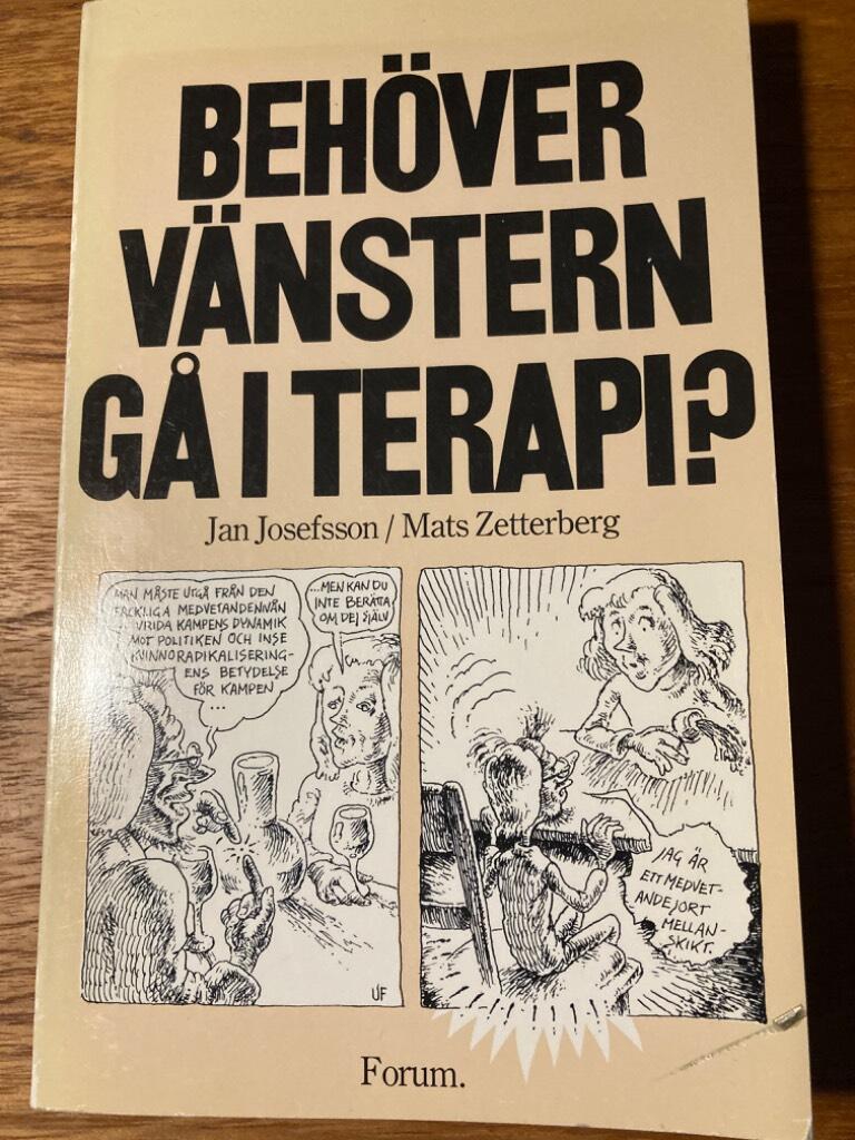 Beh&ouml;ver v&auml;nstern g&aring; i terapi?