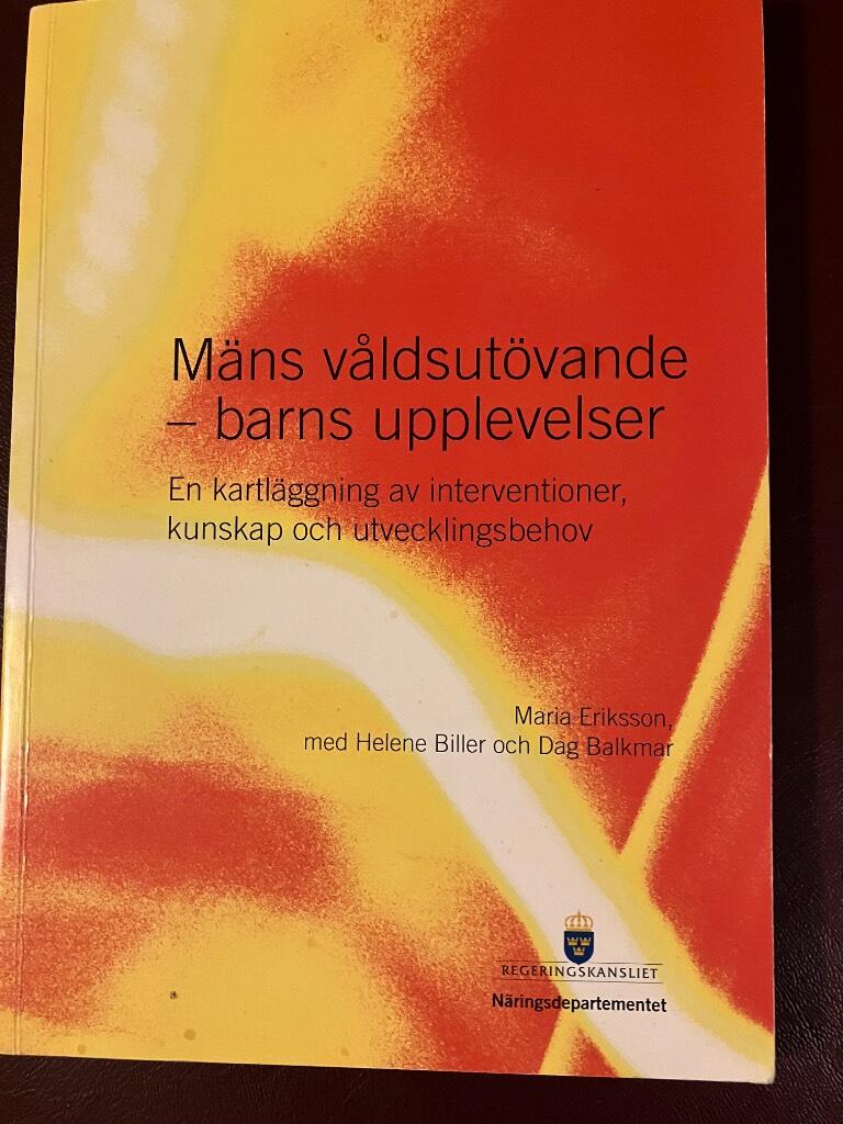M&auml;ns v&aring;ldsut&ouml;vande - barns upplevelser : en kartl&auml;ggning av interventioner, kunskap och utvecklingsbehov