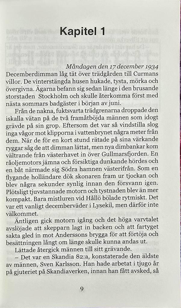 Kol & koks AB - i parti och minut till l&auml;gsta dagspriser : [en G&ouml;ran-Persson-deckare]