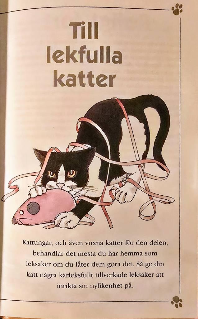 Kattens favoritprylar