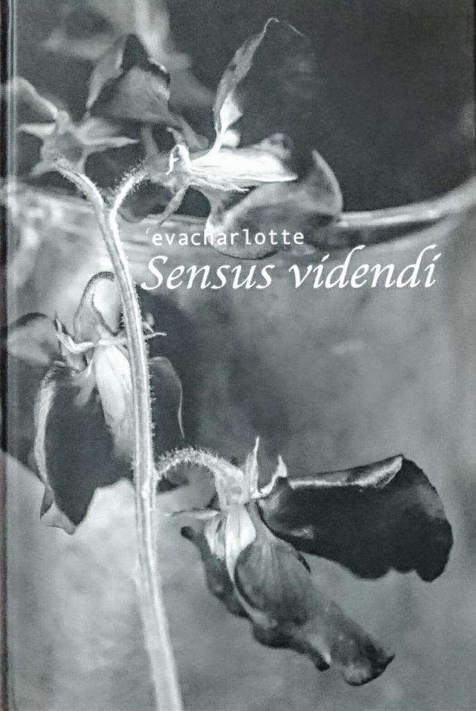 Sensus videndi