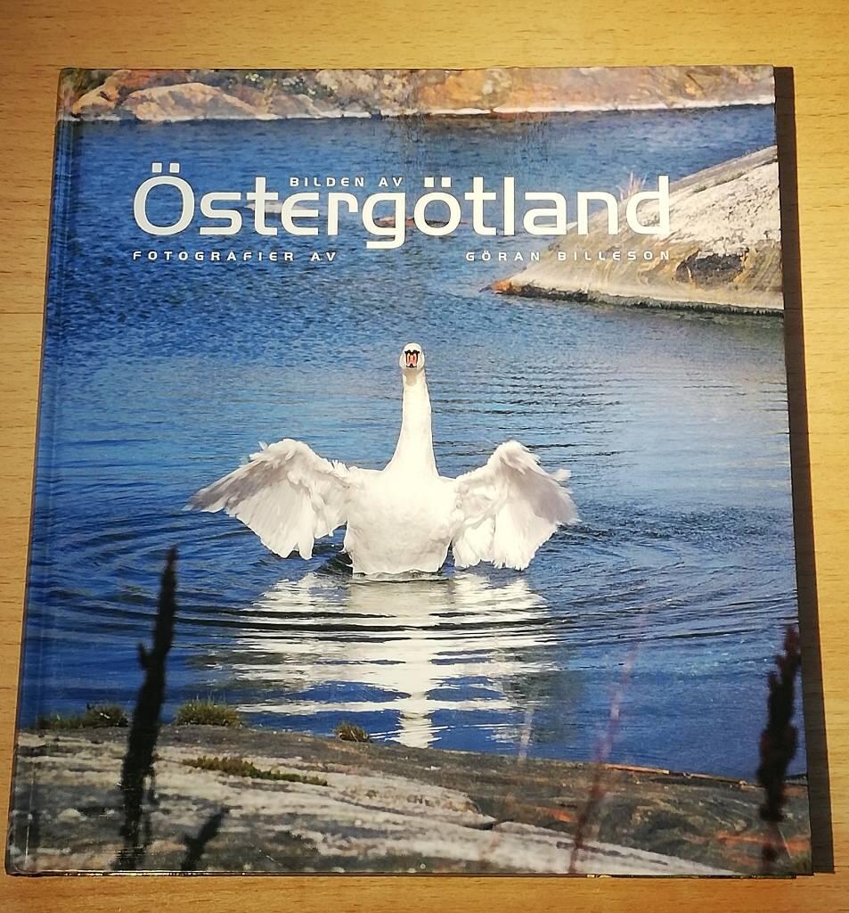 Bilden av &Ouml;sterg&ouml;tland