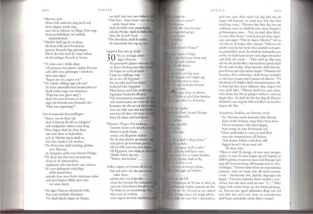 F&ouml;rsamlingsbibel