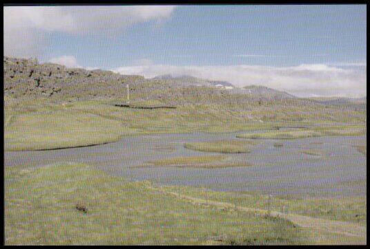 Landscape, law and justice - proceedings of a conference organised by the Centre for advanced study at the Norwegian academy of science and letters, Oslo 15-19 June 2003