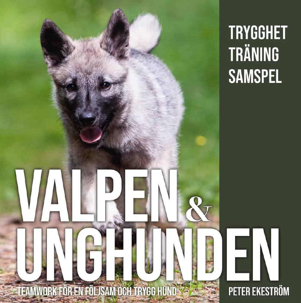 Valpen & unghunden - teamwork för en följsam och trygg hund