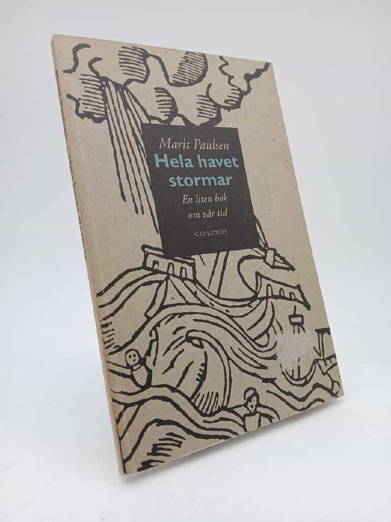 Hela havet stormar : en liten bok om v&aring;r tid