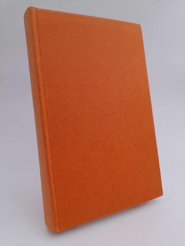 Efter flykten : nutidsroman